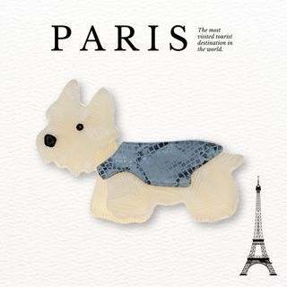 Paris broach アクリル ブローチ ピン ホワイトテリアA(ブローチ/コサージュ)