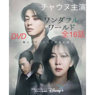 ワンダフルワールド　DVD16話　チャ.ウヌ　韓流ドラマ(韓国/アジア映画)