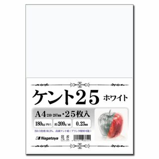 【サイズ:A4】長門屋商店 【 限定】高級ケント紙 〈ケント25〉 スケッチ・イ(その他)