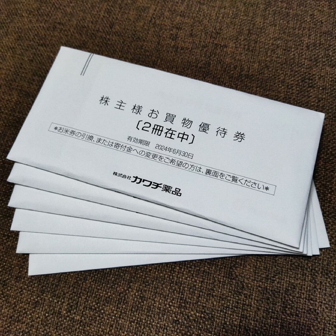 20,000円分優待券 カワチ薬品 株主優待 20,000円分優待券 カワチ薬品 株主優待