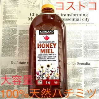 ラスト！ コストコで購入☆ 特大ボトル カナダ産 ピュア蜂蜜 3kg(その他)