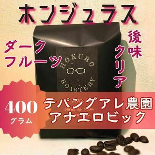 ホンジュラス テパンアグレ農園 アナエロビック 400g 自家焙煎コーヒー豆(コーヒー)