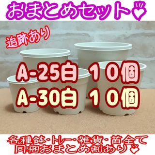 プラ鉢20個おまとめセット♪【A-25・A-30 各10個】プレステラ多肉(プランター)