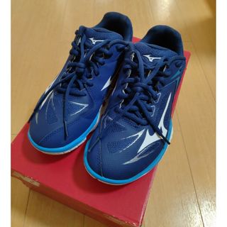 ミズノ(MIZUNO)のMIZUNO　ウェーブクローel 　バドミントンシューズ(バドミントン)