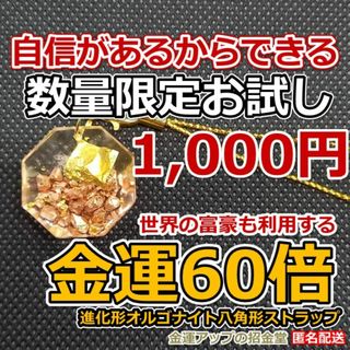 【数量限定お試し版】金運風水進化形オルゴナイト八角形ストラップ金運60倍　101(キーホルダー/ストラップ)