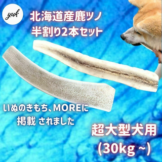 【24時間以内発送】超大型犬用　半割り　2本セット　エゾ鹿の角　犬のおもちゃ(犬)