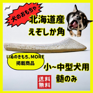 【送料無料】小~中型犬用　髄のみ　歯が心配、鹿角初めての子用　犬のおもちゃ(犬)