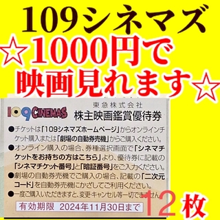 109シネマズ　映画鑑賞優待券②(その他)