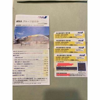 エーエヌエー(ゼンニッポンクウユ)(ANA(全日本空輸))のANA 株主優待(その他)