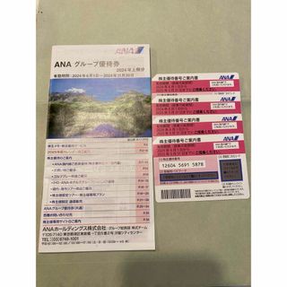 エーエヌエー(ゼンニッポンクウユ)(ANA(全日本空輸))のANA 株主優待(その他)