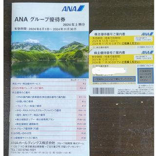 エーエヌエー(ゼンニッポンクウユ)(ANA(全日本空輸))のANA株主優待券2枚とグループ優待券(ショッピング)