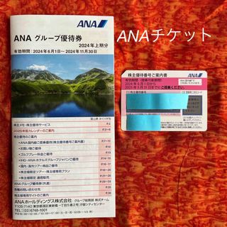 エーエヌエー(ゼンニッポンクウユ)(ANA(全日本空輸))のANAチケット(航空券)