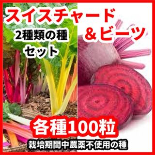 スイスチャード＆ビーツの種【2種類　各100粒】★農薬:栽培期間中不使用の種(野菜)