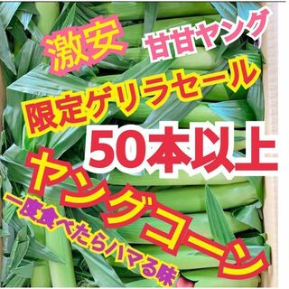 F92 山梨県産　ヤングコーン　ベビーコーン　50本以上　　とうもろこし(野菜)