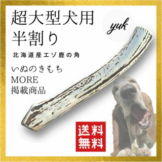 【匿名配送】超大型犬用　半割り　北海道産エゾ鹿の角　犬のおもちゃ(犬)