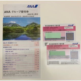 エーエヌエー(ゼンニッポンクウユ)(ANA(全日本空輸))のANA 株主優待券2枚(その他)