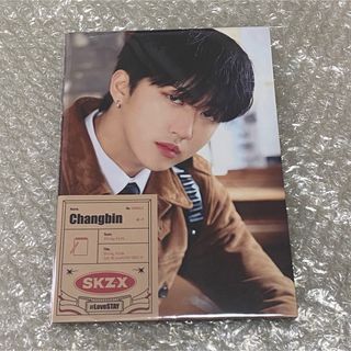 ストレイキッズ(Stray Kids)のstraykids skz_x 探偵 フォトブック チャンビン(アイドルグッズ)