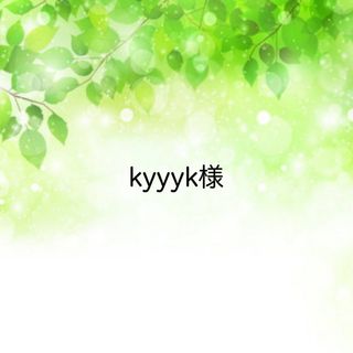 kyyyk様☆専用ページ(その他)