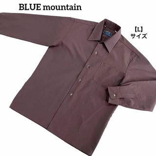 A354 【美品】 BLUE mountain シャツ 長袖 無地 茶 L(シャツ)