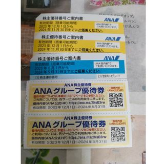 エーエヌエー(ゼンニッポンクウユ)(ANA(全日本空輸))のANA株主優待券3枚　全日本空輸　全日空　ANA　優待券(その他)