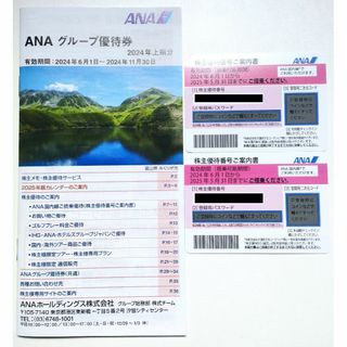 エーエヌエー(ゼンニッポンクウユ)(ANA(全日本空輸))のANA 株主優待 2枚(その他)