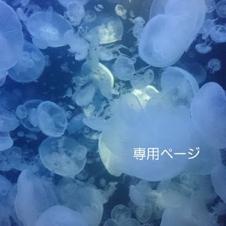 ポケモン - 【専用ページ】メザスタ ミュウ テラスタル