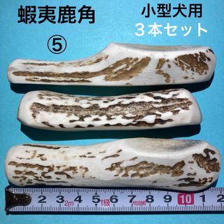 鹿の角　犬用品　小型犬用３本