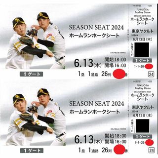 福岡ソフトバンクvs東京ヤクルト★6月13日★ホームランホークシート最前列(野球)