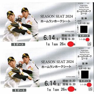 福岡ソフトバンクvs阪神★6月14日★ホームランホークシート最前列(野球)