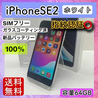 アップル(Apple)の【美品】iPhoneSE2 ホワイト 64GB SIMフリー 本体 100%(スマートフォン本体)