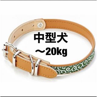 ペティオ(Petio)の犬雅 唐草 平首輪 Ｍ グリーン　中型犬用(犬)