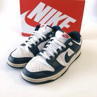 ナイキ(NIKE)のNIKEDUNK LOW RETRO VALERIAN DD1391 スニーカー(スニーカー)