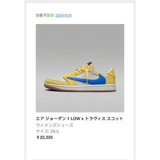 ジョーダン(Jordan Brand（NIKE）)のTravis Scott × Nike Air Jordan 1(スニーカー)