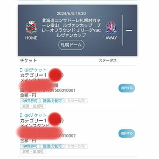 6/5 (水)北海道コンサドーレ札幌 vs カターレ富山　カテゴリ1 ペア(サッカー)