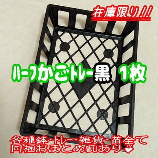 ハーフかごトレー 黒 1枚 A4サイズ♪ プラ鉢 プレステラ 多肉植物(プランター)