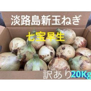 ☆訳あり20Kg☆淡路島新玉ねぎ　たまねぎ　玉葱