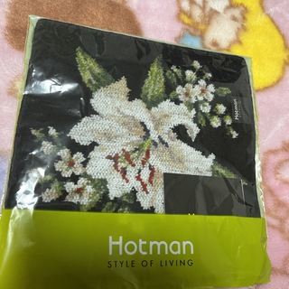 ホットマン(Hotman)のホットマン　ハンドタオル　未使用(ハンカチ)