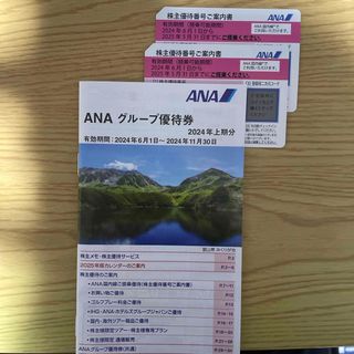 エーエヌエー(ゼンニッポンクウユ)(ANA(全日本空輸))のANA株主優待券2枚グループ優待券1冊(航空券)