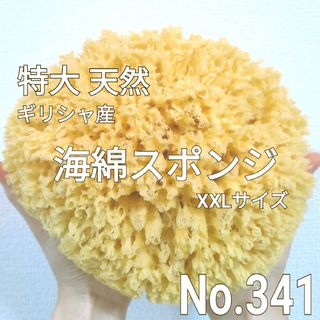 天然 特大！ 海綿スポンジ ギリシャ産 グラス種 XXLサイズ No.401(バスグッズ)