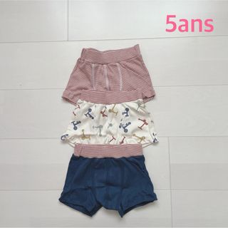 プチバトー(PETIT BATEAU)のプチバトー　トランクス3枚組　5ans (下着)