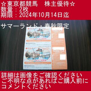 【2枚・サマーランド・春秋限定】東京都競馬　株主優待券(プール)