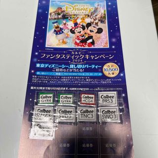 カルビー　キャンペーン　ディズニー　応募券(その他)