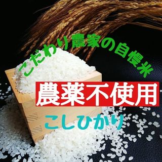 こだわり農家の自慢米  白米10㎏(無農薬栽培)　　　　　令和5年産(米/穀物)