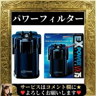 テトラ(Tetra)の⭐未使用⭐ Tetra テトラ バリュー EX パワーフィルター VX-75(アクアリウム)