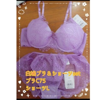 シロハト(SHIROHATO)の♡新品 シロハトパープルレースブラC75＆ショーツLset紫ラベンダー(ブラ&ショーツセット)