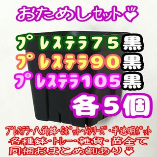 【スリット鉢】プレステラ黒 75＆90＆105 各5個 多肉植物 プラ鉢(プランター)