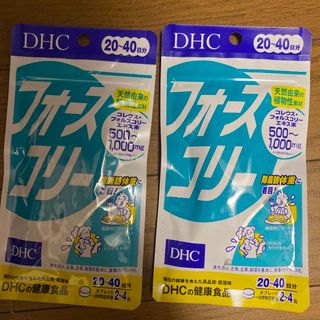 ディーエイチシー(DHC)のDHC サプリメント フォースコリー 20日分 2袋セット賞味期限 27年2月(その他)