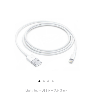 アップル(Apple)のApple 純正 Lightning - USBケーブル(バッテリー/充電器)