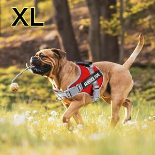 【内側メッシュ】ハーネス XL 犬 ペット ドッグ チェストストラップ 散歩 赤