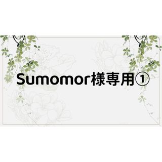 Sumomor様専用ページ①(しおり/ステッカー)